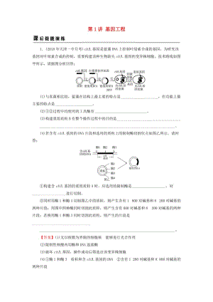 2019高考生物大一輪復(fù)習(xí) 現(xiàn)代生物科技專(zhuān)題 第1講 基因工程課后提能演練 新人教版選修3.doc