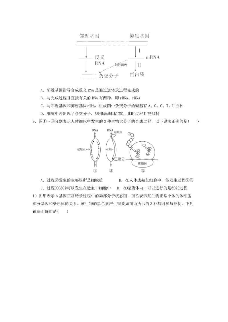 重庆市合川瑞山中学2018-2019学年高二生物下学期第一次月考试题.doc_第3页