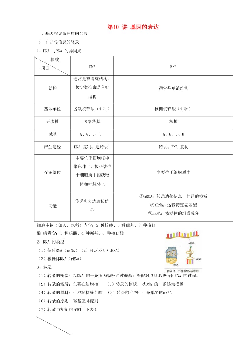 2018高中生物学业水平测试复习 第10讲 基因的表达学案.doc_第1页