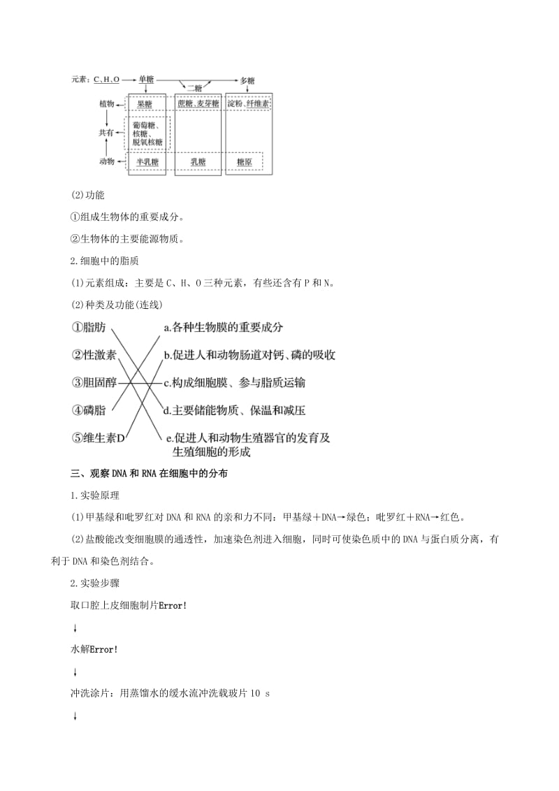 2019年高考生物一轮复习 专题1.4 遗传信息的携带者--核酸 细胞中的糖类和脂质教学案.doc_第2页