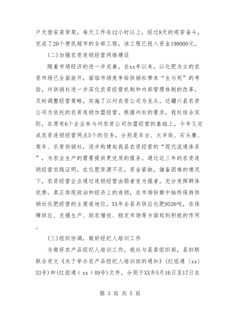 供销社年度工作总结.doc_第3页