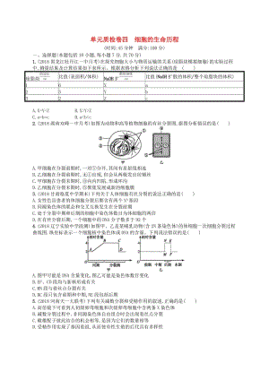 2020版高考生物大一輪復(fù)習(xí) 第4單元 細(xì)胞的生命歷程單元質(zhì)檢卷 新人教版.docx