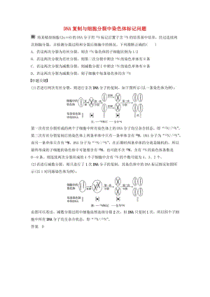 2020版高考生物新導(dǎo)學(xué)大一輪復(fù)習(xí) 第五單元 遺傳的分子基礎(chǔ) 熱點題型五 DNA復(fù)制與細(xì)胞分裂中染色體標(biāo)記問題講義（含解析）北師大版.docx