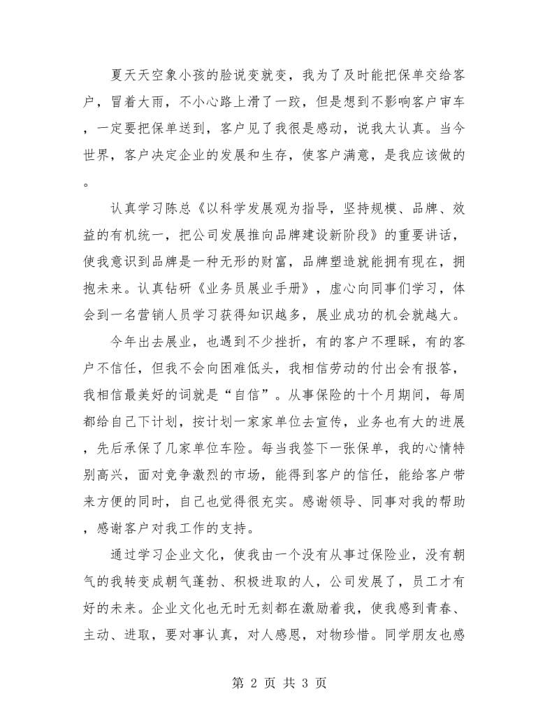 保险业务员年终总结.doc_第2页