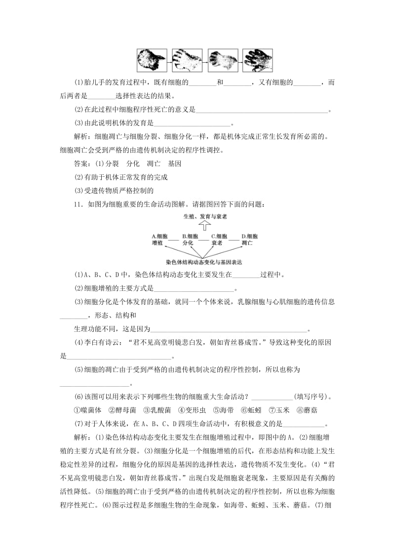 2018-2019学年高中生物 课时跟踪检测（二十）细胞分化、衰老和凋亡（含解析）苏教版必修1.doc_第3页