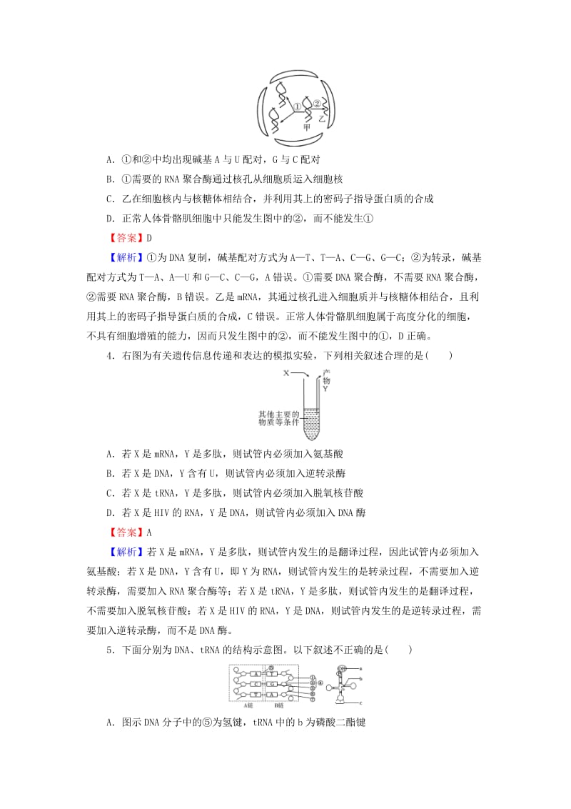 2019高考生物大一轮复习 第2单元 基因的本质与表达 第3讲 基因的表达课后提能演练 新人教版必修2.doc_第2页