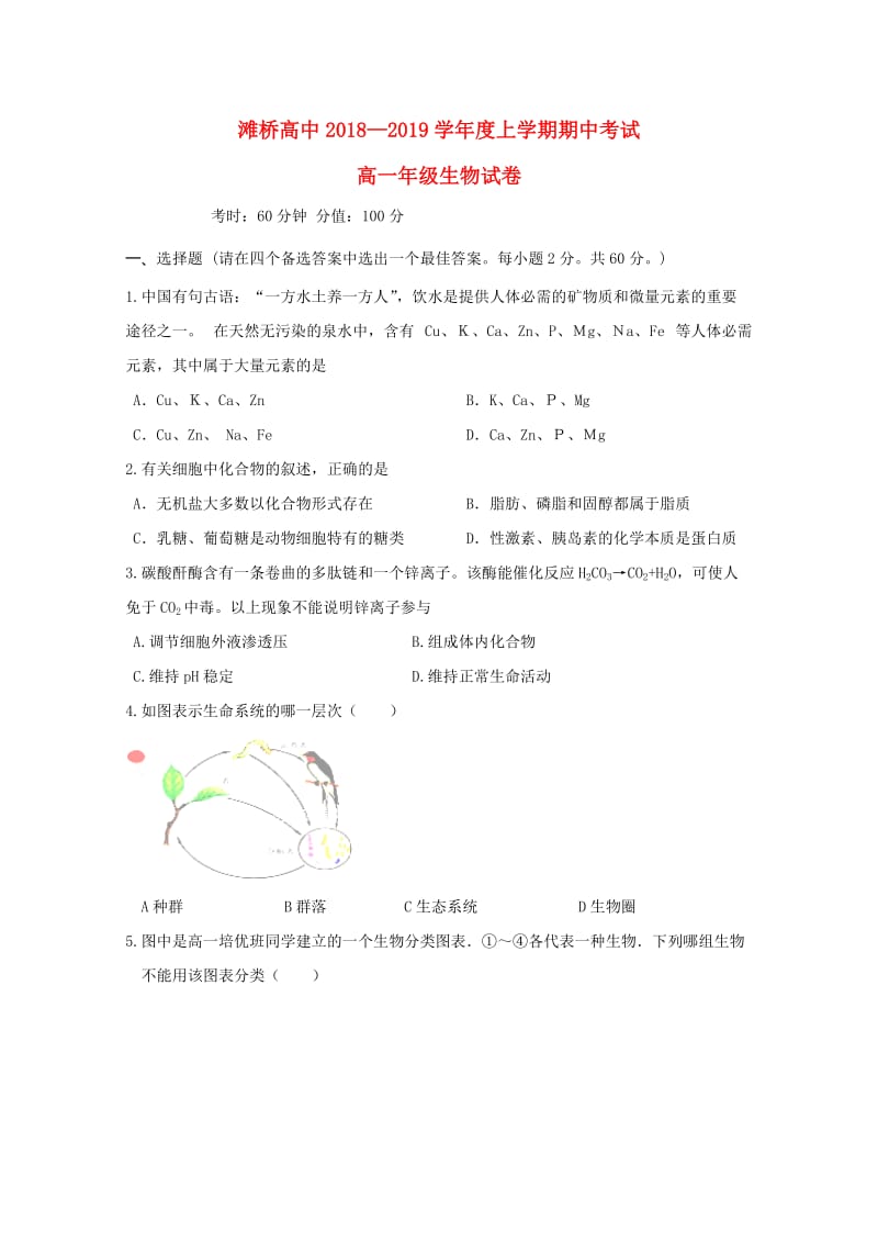 湖北剩州市滩桥高级中学2018-2019学年高一生物上学期期中试题.doc_第1页