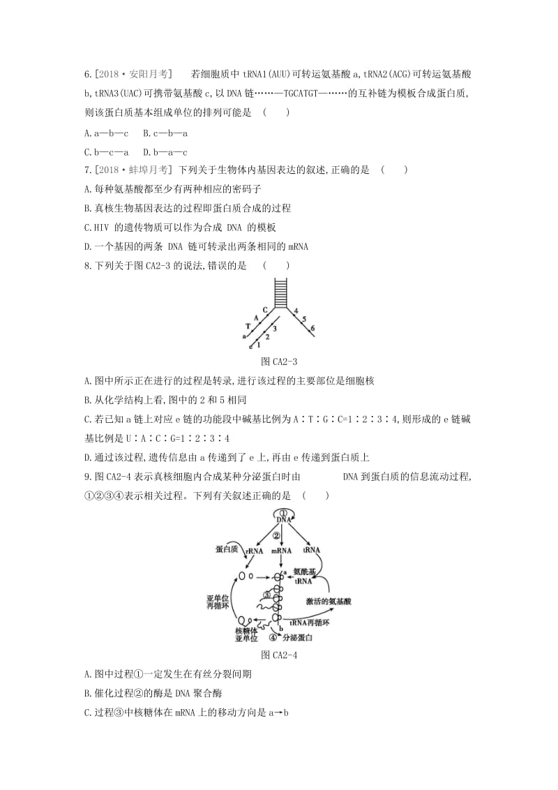 2019年高中生物 第4章 基因的表达单元测评（含解析）新人教版必修2.doc_第2页