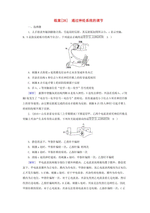 2019高考生物一輪總復(fù)習 第一單元 生命活動的調(diào)節(jié)與免疫 練案26 通過神經(jīng)系統(tǒng)的調(diào)節(jié) 新人教版必修3.doc