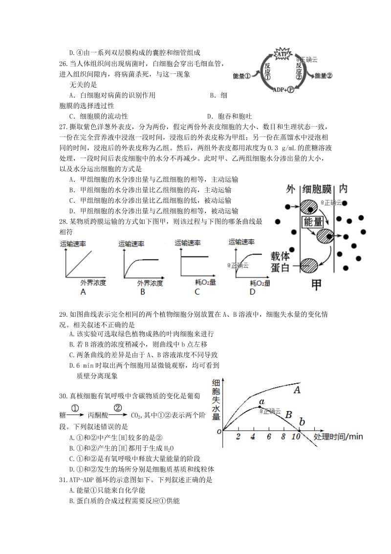 2018-2019学年高一生物上学期期末考试试题A.doc_第3页