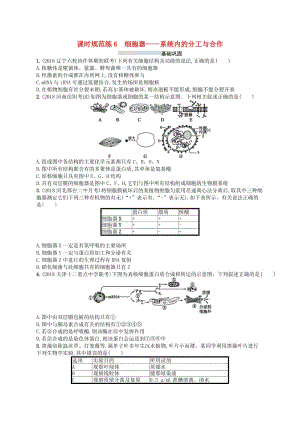 2020版高考生物大一輪復習 第2單元 細胞的基本結構細胞的物質(zhì)輸入和輸出 課時規(guī)范練6 細胞器——系統(tǒng)內(nèi)的分工與合作 新人教版.docx