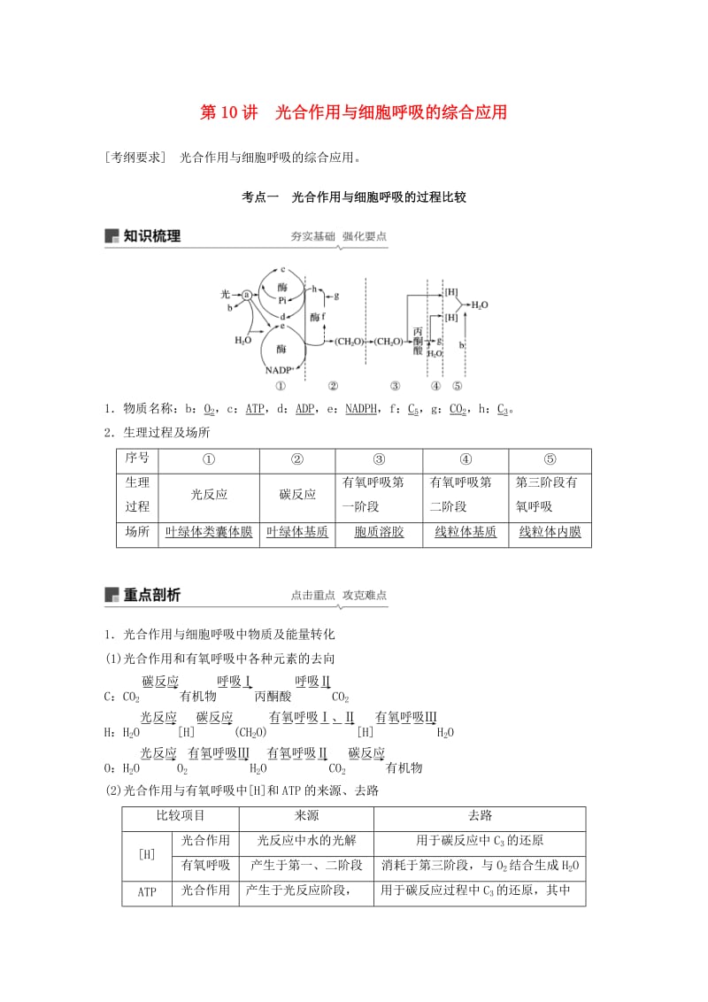 2020版高考生物新导学大一轮复习 第三单元 细胞的能量代谢 第10讲 光合作用与细胞呼吸的综合应用讲义（含解析）北师大版.docx_第1页