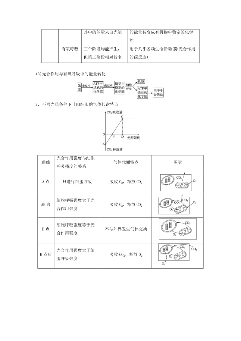 2020版高考生物新导学大一轮复习 第三单元 细胞的能量代谢 第10讲 光合作用与细胞呼吸的综合应用讲义（含解析）北师大版.docx_第2页