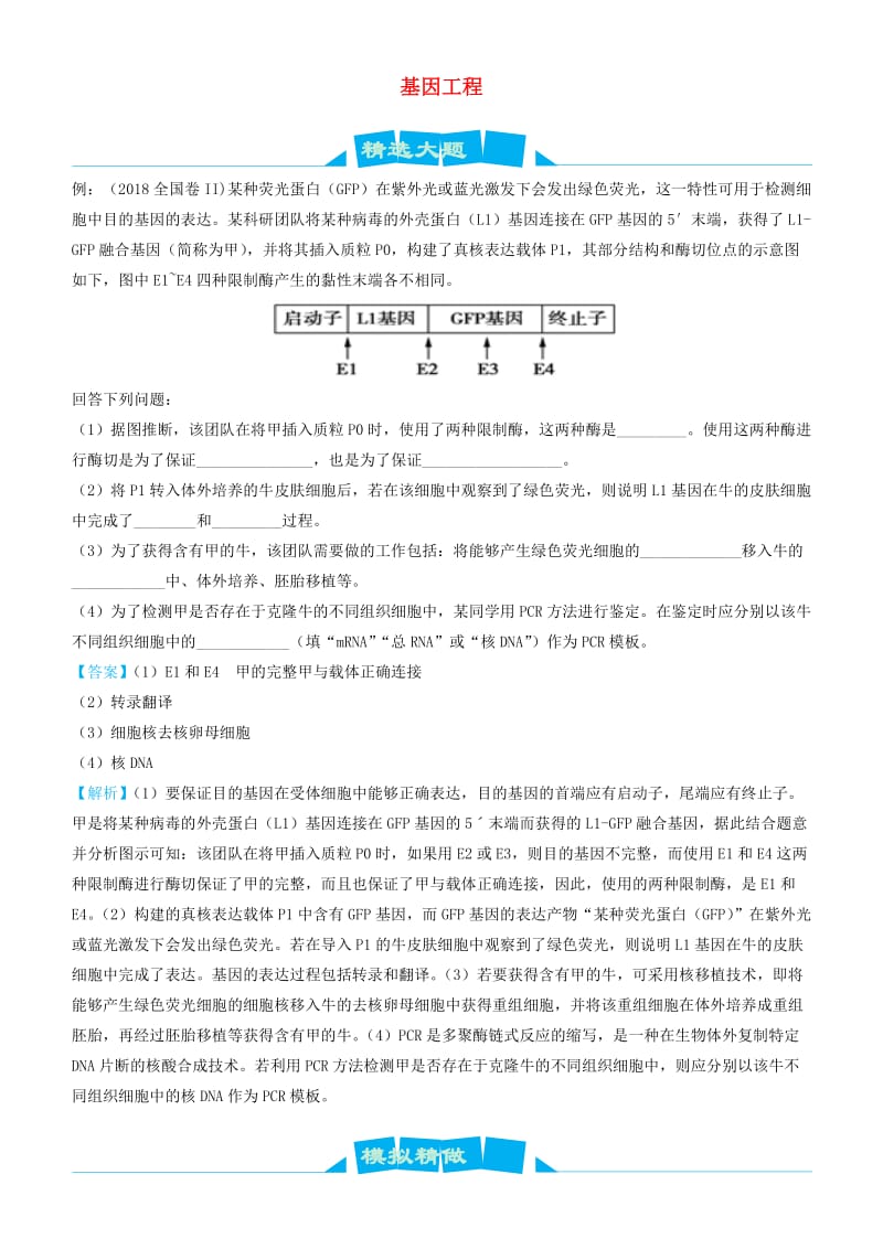 2019高考生物三轮冲刺大题提分大题精做13基因工程含解析.docx_第1页