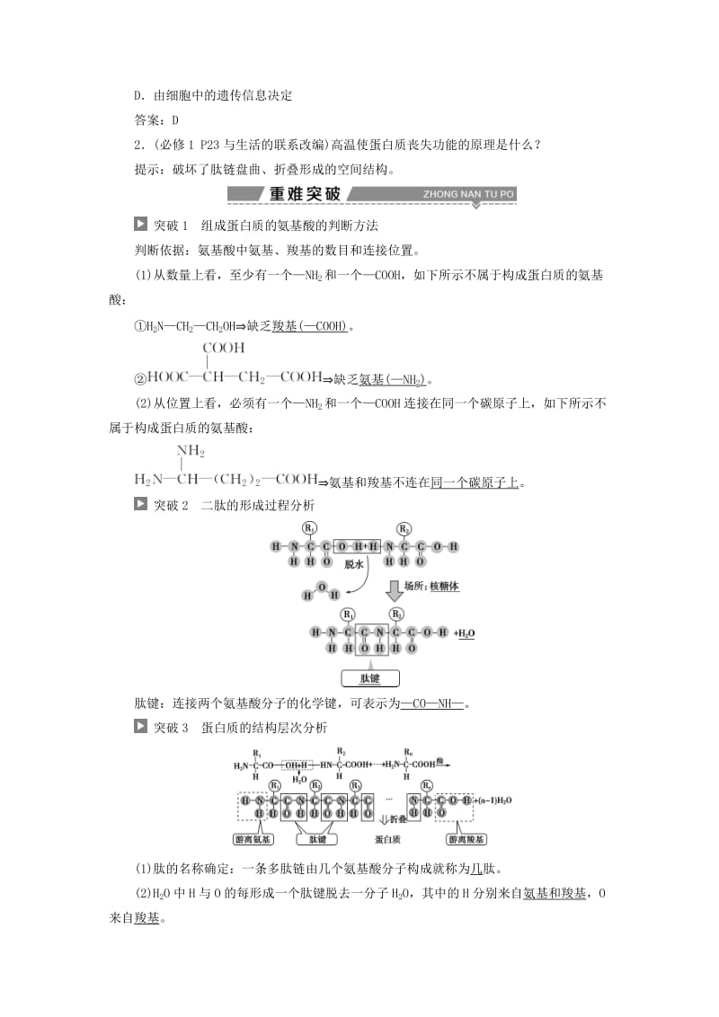 2019高考生物一轮复习 第03讲 生命活动的主要承担者——蛋白质教案 新人教版必修1.doc_第2页