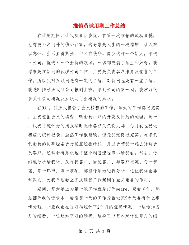 推销员试用期工作总结.doc_第1页