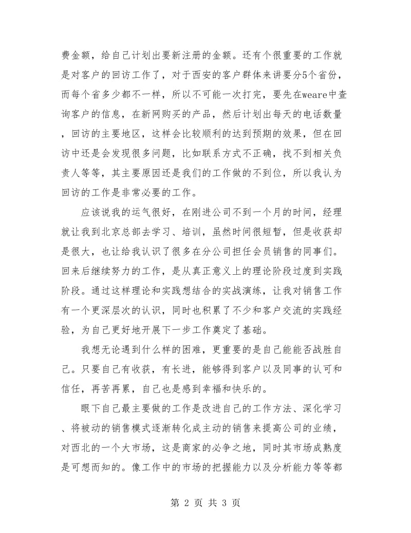 推销员试用期工作总结.doc_第2页