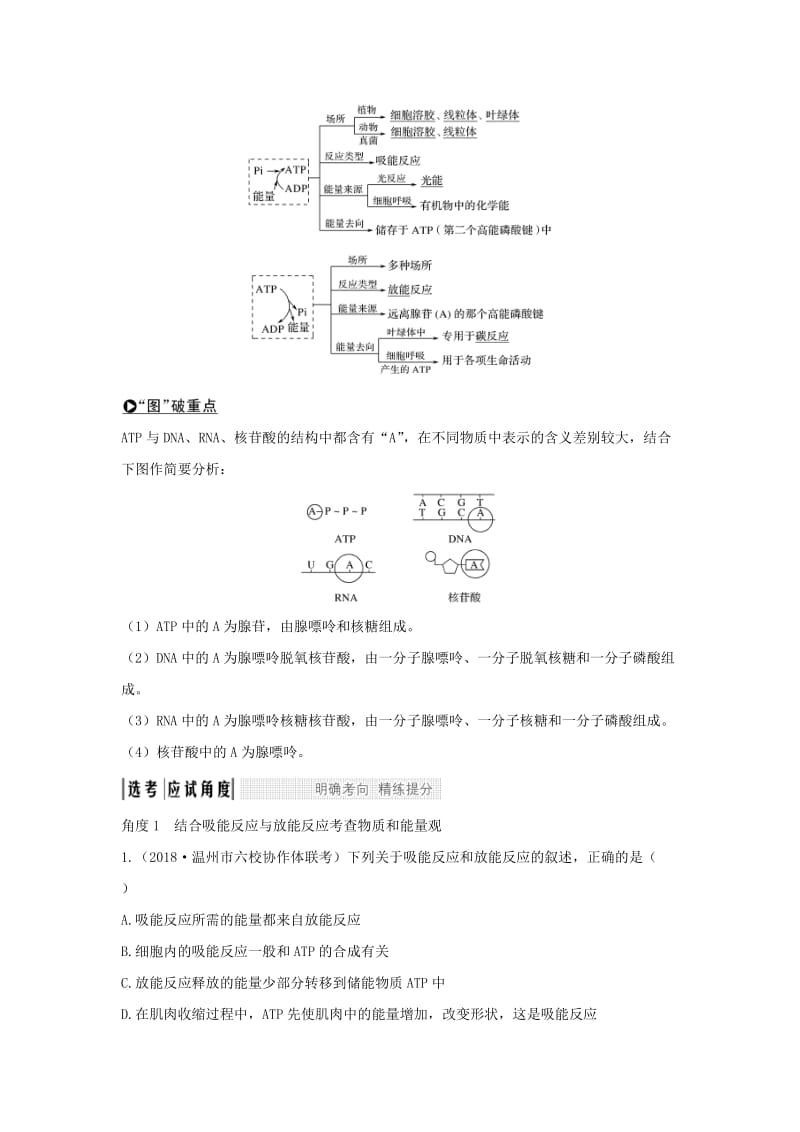 （浙江选考）2020版高考生物一轮复习 第4讲 ATP与酶学案.doc_第3页