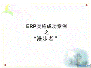 ERP实施成功案例.ppt