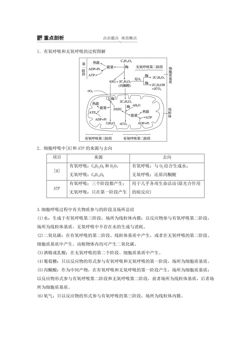 （人教通用）2020版高考生物大一轮复习 第三单元 细胞的能量供应和利用 第8讲 细胞呼吸讲义.docx_第3页