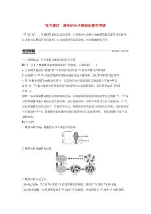 2018-2019學年高中生物 第三章 遺傳的分子基礎 微專題四 遺傳的分子基礎的題型突破學案 浙科版必修2.doc