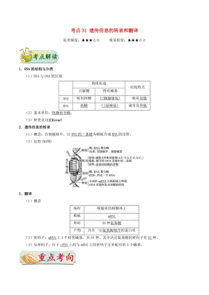 2019年高考生物 考點(diǎn)一遍過 考點(diǎn)31 遺傳信息的轉(zhuǎn)錄和翻譯（含解析）.doc