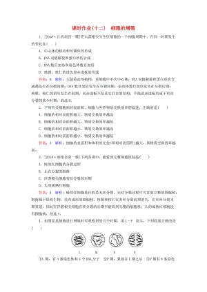 2019年高考生物一輪復(fù)習(xí) 課時(shí)作業(yè)12 細(xì)胞的增殖.doc