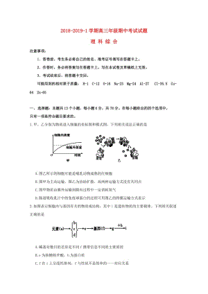 高三理綜上學(xué)期期中試題.doc