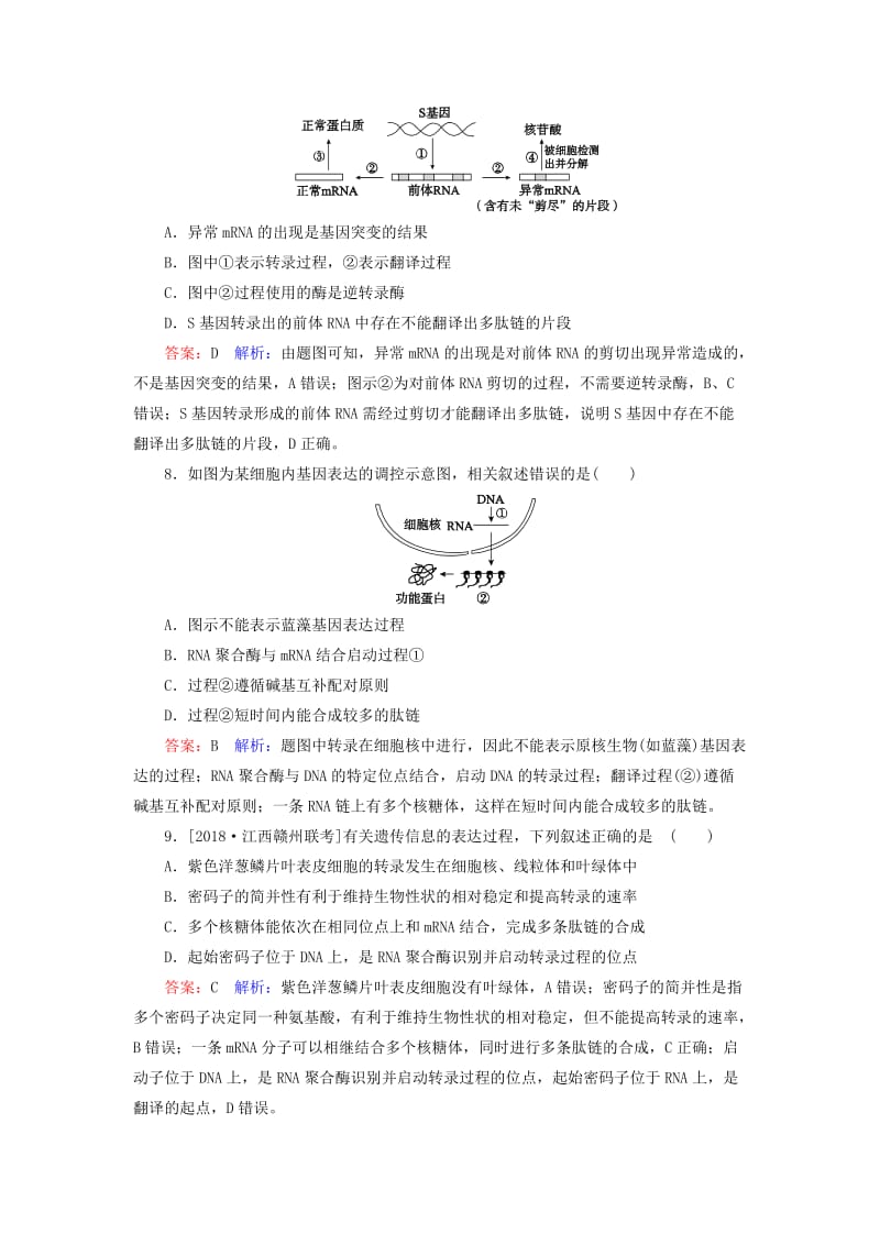 2019年高考生物一轮复习 课时作业22 DNA的分子结构、复制及基因的本质.doc_第3页