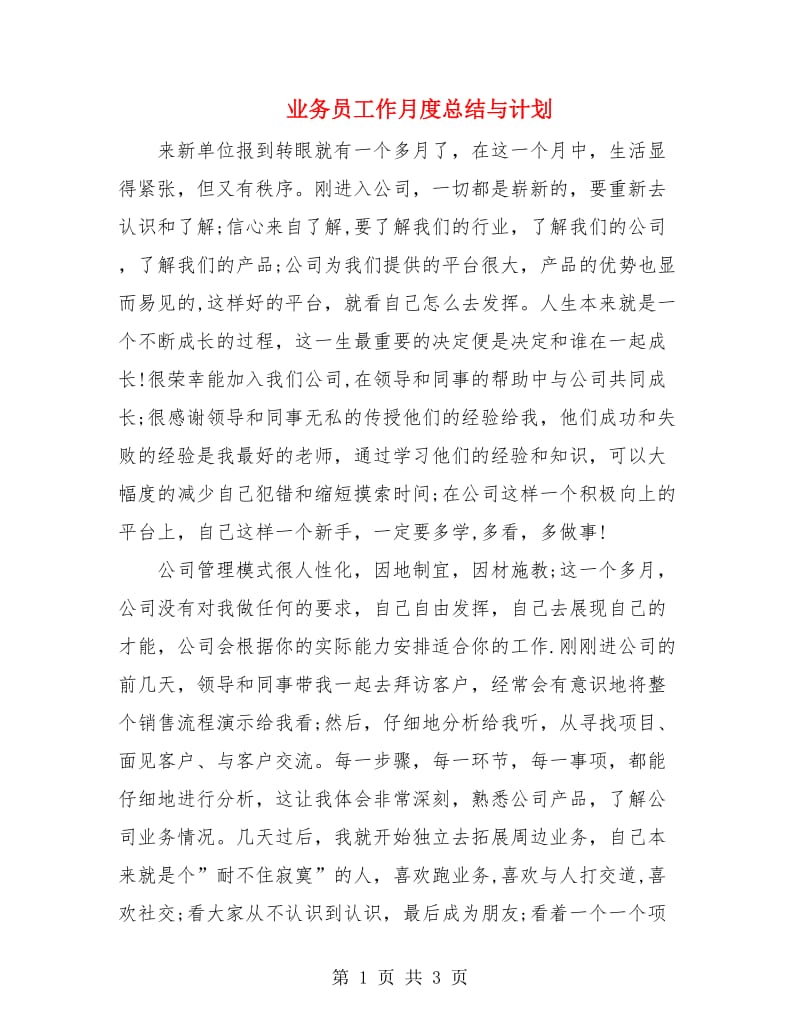 业务员工作月度总结与计划.doc_第1页