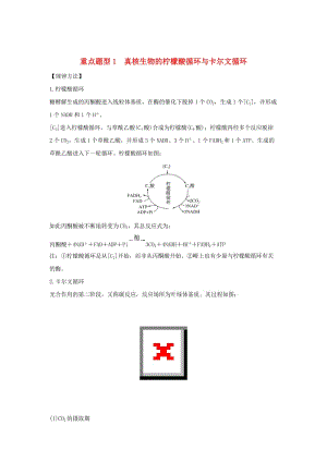 2019版高考生物總復(fù)習 第一部分 非選擇題必考五大專題 專題一 細胞的代謝 重點題型1 真核生物的檸檬酸循環(huán)與卡爾文循環(huán)學案.doc