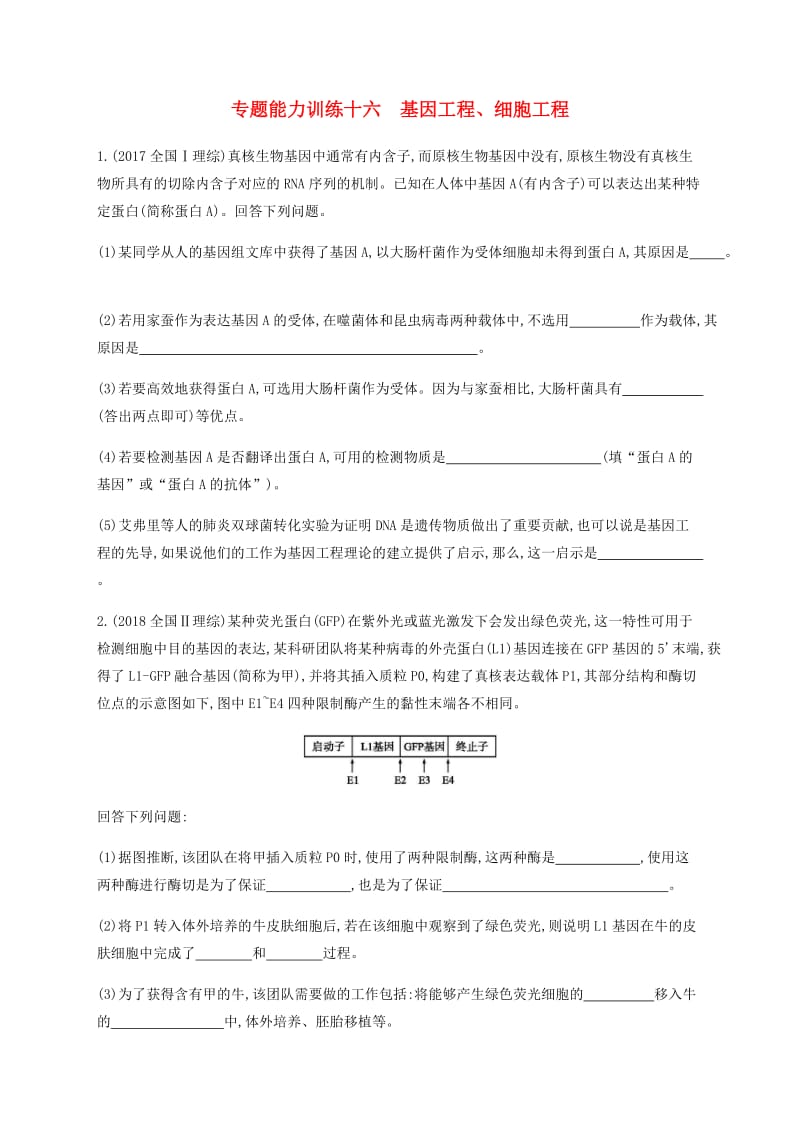 2019年高考生物二轮复习 专题能力训练16 基因工程、细胞工程.docx_第1页