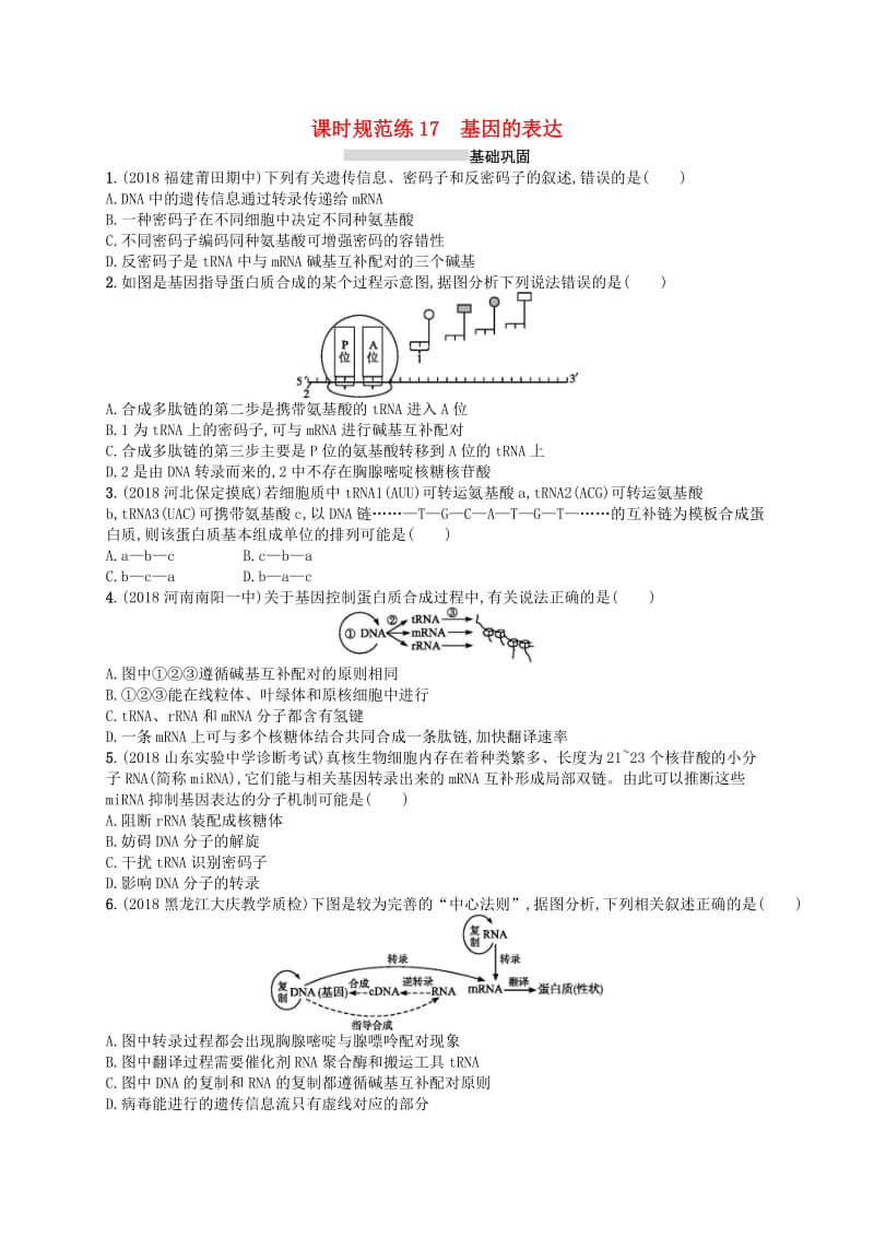 2020版高考生物大一轮复习 第5单元 遗传的分子基础 课时规范练17 基因的表达 新人教版.docx_第1页