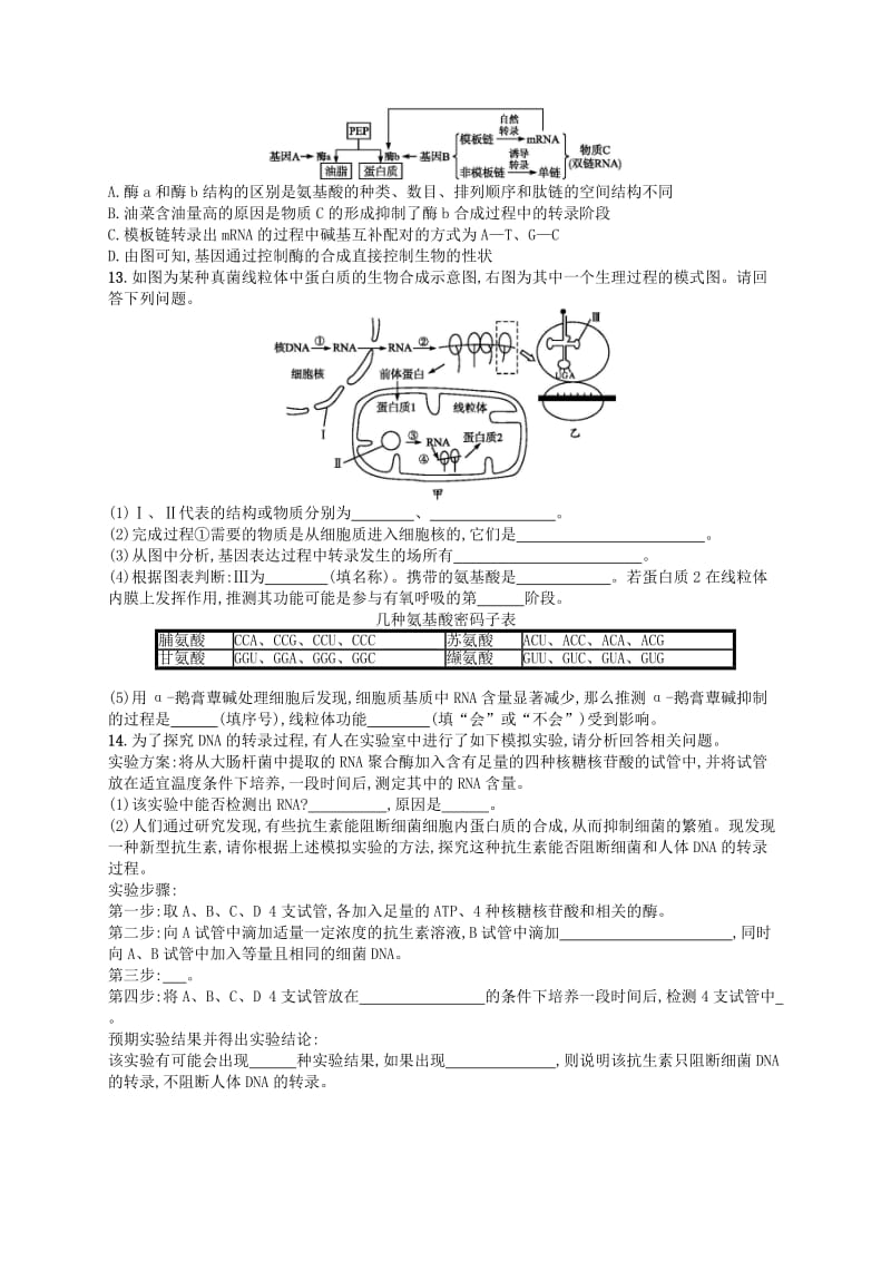 2020版高考生物大一轮复习 第5单元 遗传的分子基础 课时规范练17 基因的表达 新人教版.docx_第3页