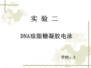 DNA瓊脂糖凝膠電泳.ppt