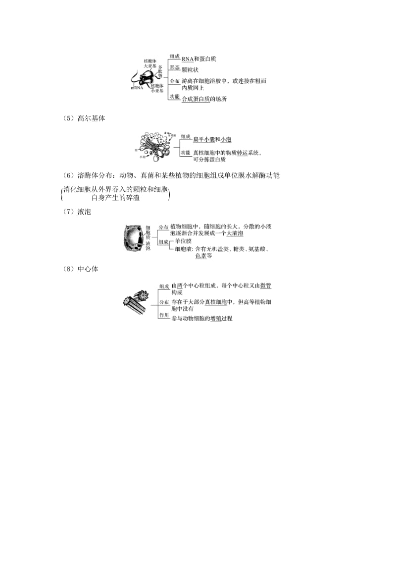 （浙江选考）2020版高考生物一轮复习 第3讲 细胞质、细胞核学案.doc_第3页