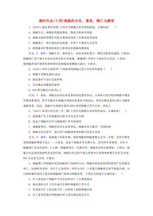 2019年高考生物一輪復習 課時作業(yè)14 細胞的分化、衰老、凋亡與癌變.doc