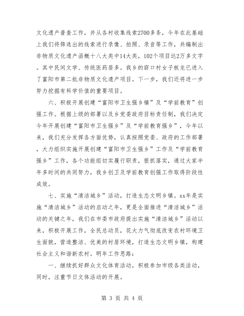 乡文化体育服务站年度工作总结.doc_第3页