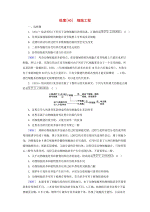 2019高考生物一輪總復(fù)習(xí) 現(xiàn)代生物科技專題 練案40 細(xì)胞工程 新人教版選修3.doc