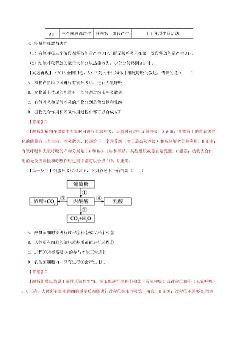 2019年高考生物二轮复习 专题05 光合作用与细胞呼吸（讲）（含解析）.doc_第3页