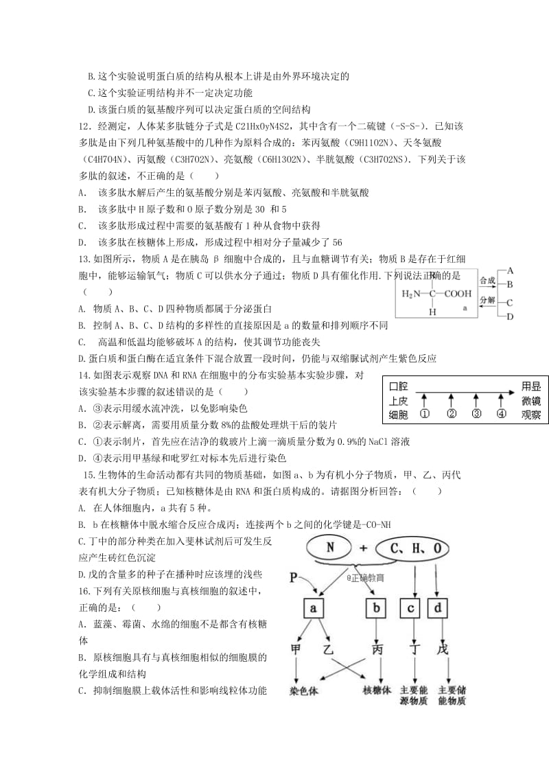 2018-2019学年高二生物10月月考试题 (V).doc_第3页