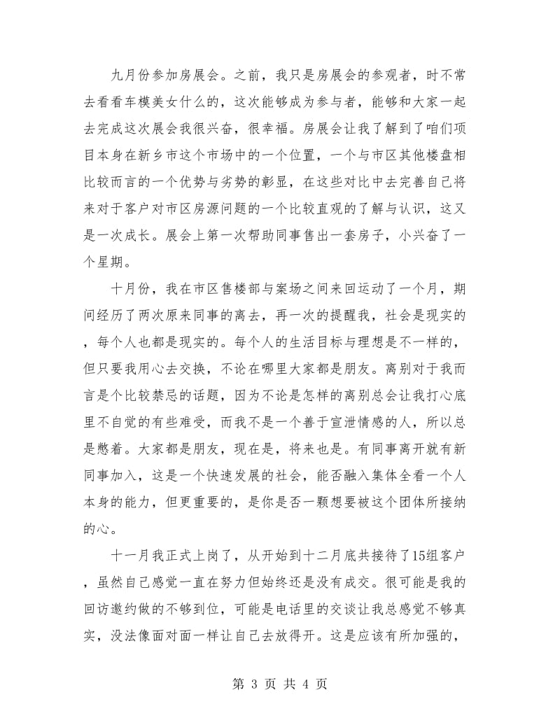 房地产置业顾问年度总结.doc_第3页