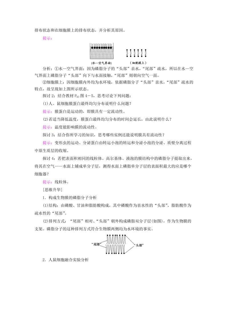 2018版高中生物 第四章 细胞的物质输入和输出 第2节 生物膜的流动镶嵌模型学案 新人教版必修1.doc_第2页