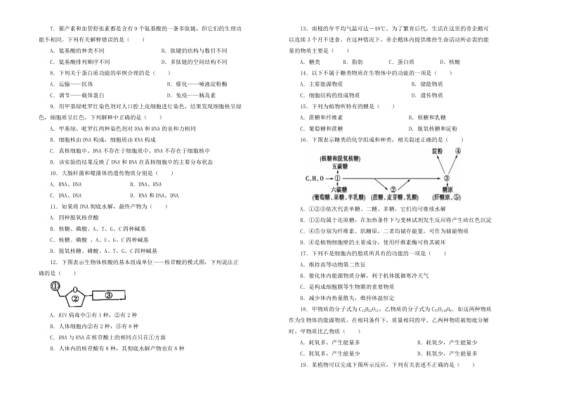 2018-2019学年高中生物 第二单元 组成细胞的分子训练卷（二）新人教版必修1.doc_第2页