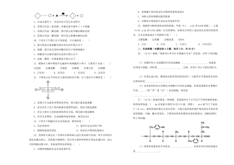 2018-2019学年高中生物 第二单元 组成细胞的分子训练卷（二）新人教版必修1.doc_第3页