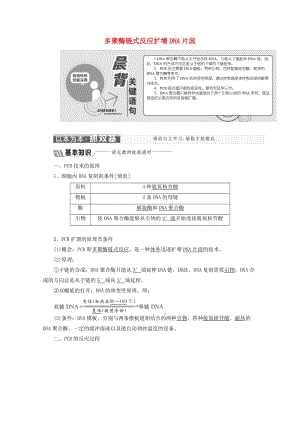 2018-2019學(xué)年高中生物 專題5 課題2 多聚酶鏈式反應(yīng)擴增DNA片段教學(xué)案（含解析）新人教版選修1 .doc