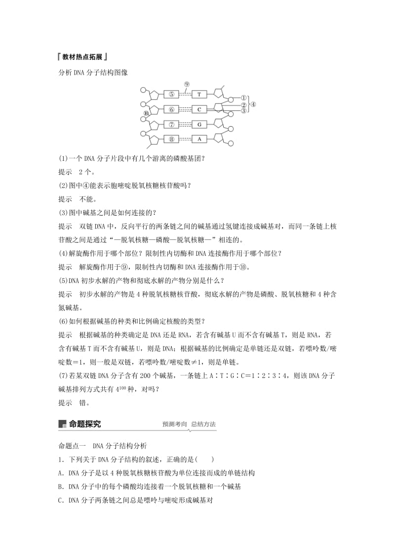 2020版高考生物新导学大一轮复习 第五单元 遗传的分子基础 第15讲 DNA分子的结构、复制及基因的本质讲义（含解析）北师大版.docx_第3页