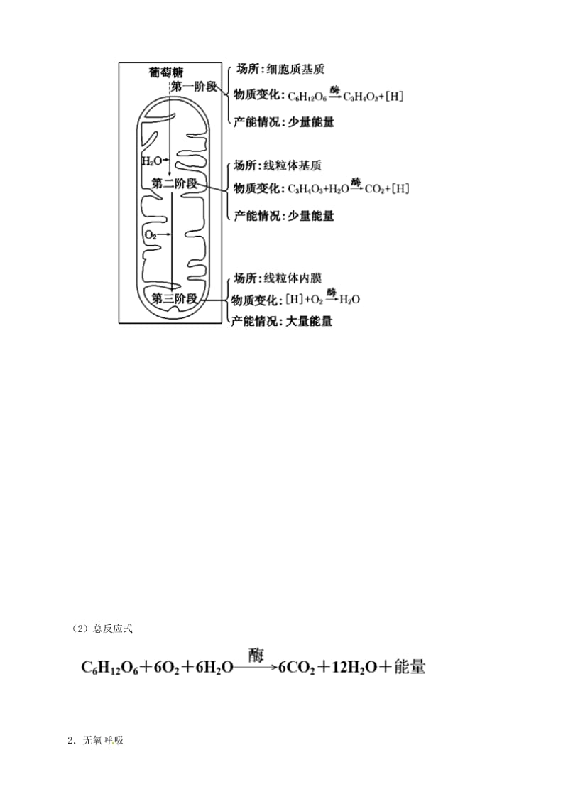 2019高考生物 核心考点特色突破 专题05 细胞呼吸与光合作用.doc_第2页