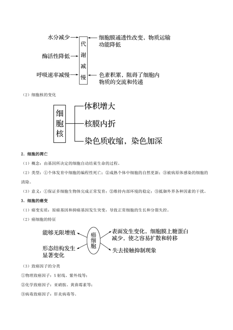 2019年高考生物一轮复习 专题13 细胞的分化、衰老、凋亡与癌变（讲）.doc_第2页