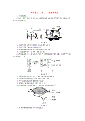 （江蘇專(zhuān)用）2019年高考生物一輪總復(fù)習(xí) 課時(shí)作業(yè)（二十二）基因的表達(dá).doc